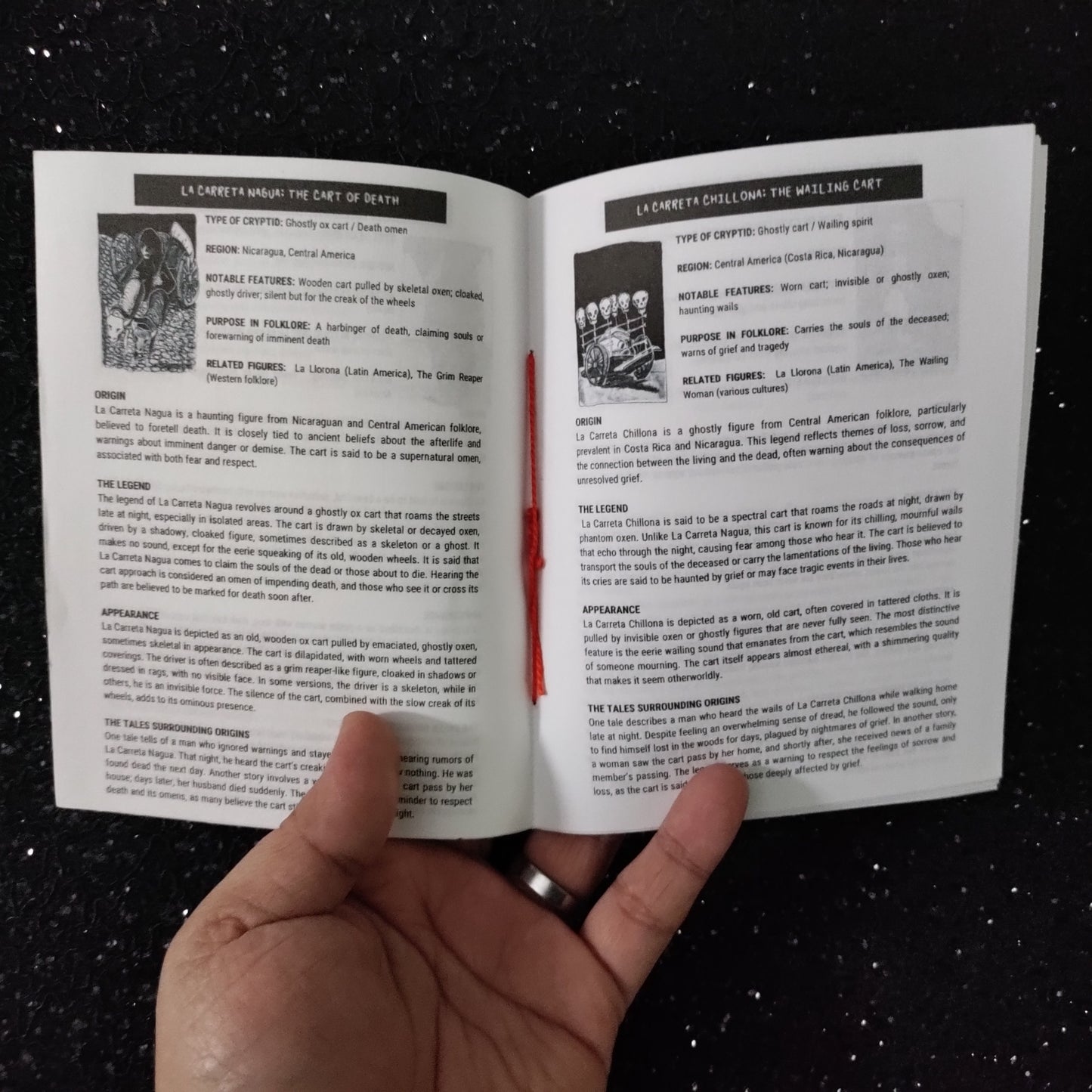 Latin X-Files Zine: Exploring Cryptids Through Latin America and Beyond